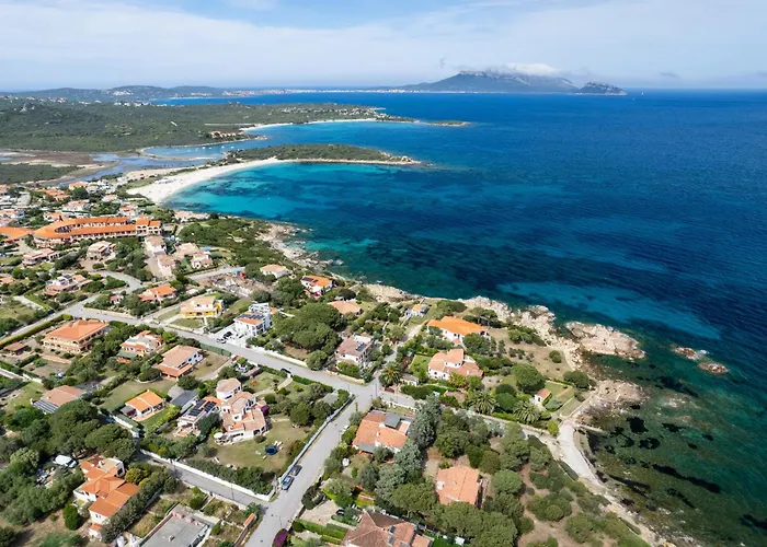 Ca Cele Viola - Klodge *