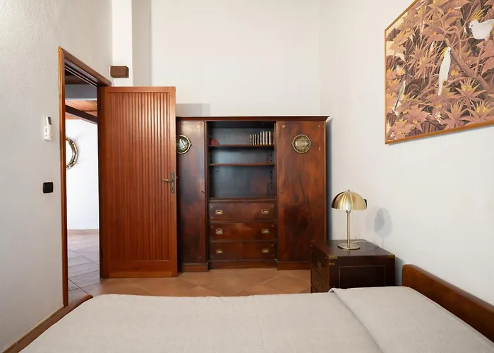 Ca Cele Viola - Klodge *