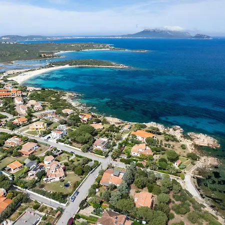 Ca Cele Viola - Klodge *