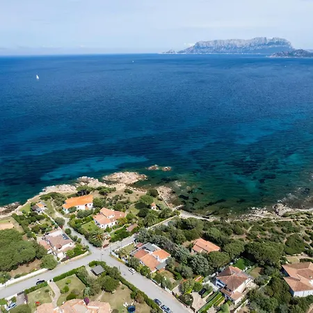 Ca Cele Viola - Klodge